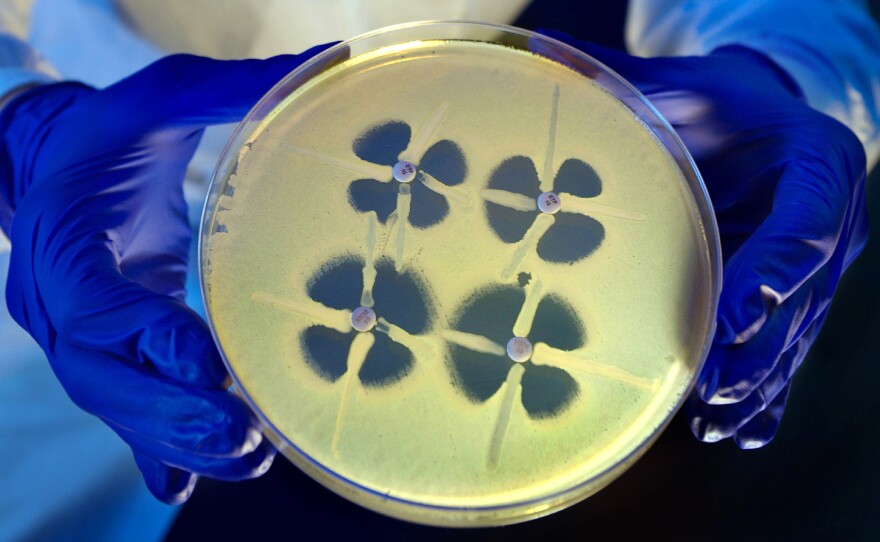 A particularly nasty type of gut bacteria with the nickname CRE is resistant even to carbapenems, a family of last-resort antibiotics.