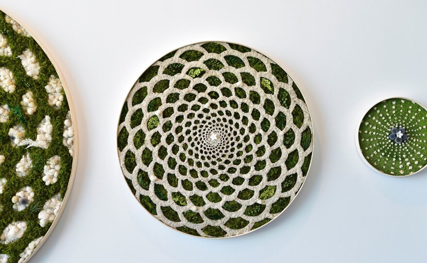 Preserved moss art "portals" with repetitive, geometric patterns.