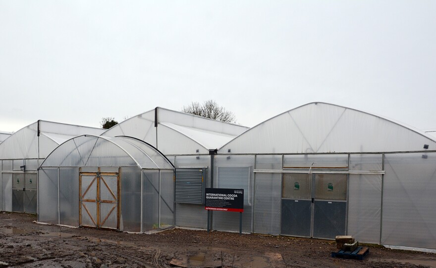 The International Cocoa Quarantine Greenhouse in Reading.