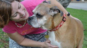 Navy Lt. Theresa Donnelly and her Boxer dog Fiona