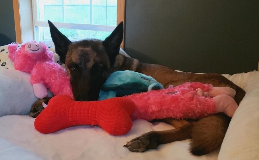 Eva, recovering at home.
