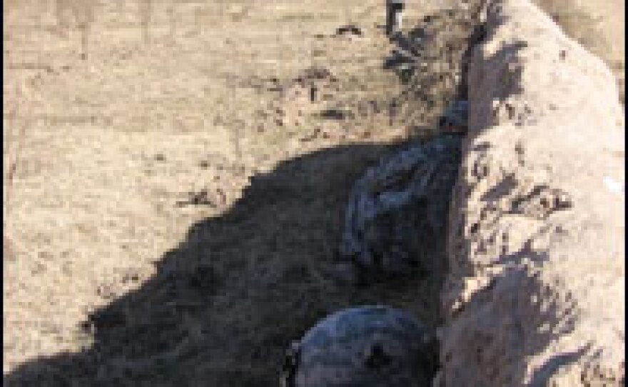 Soldiers crouch behind a mud-brick wall, waiting for a controlled detonation of a motorcycle found near an insurgent campsite.