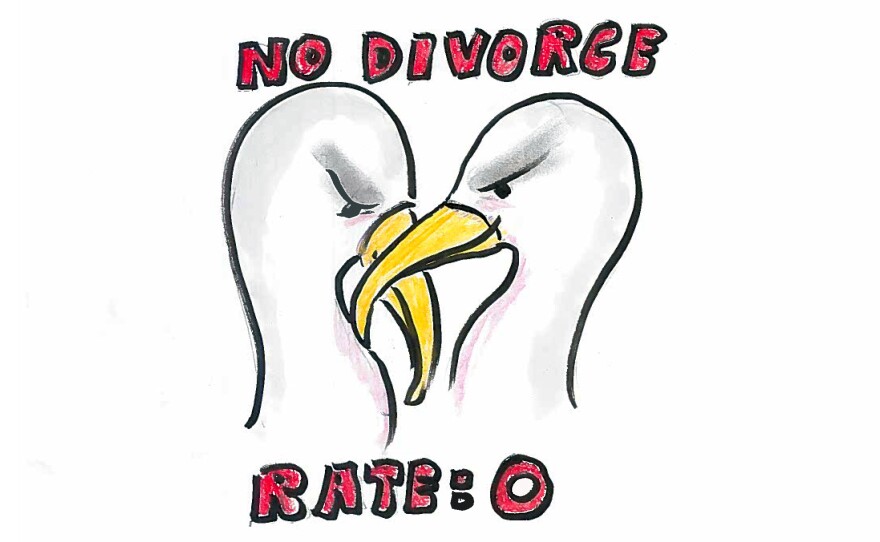 None