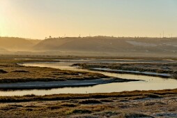 090-P82441
Tijuana Estuary NP
© 2014, California State Parks.
Photo by Brian Baer