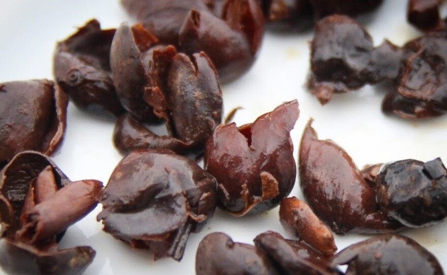 A closeup of coffee cherries used to brew cascara.