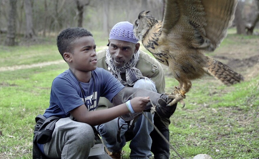 AMERICA REFRAMED The Falconer KPBS Public Media