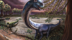 An artistic illustration of the Nagatitan, the largest dinosaur discovered in Southeast Asia.