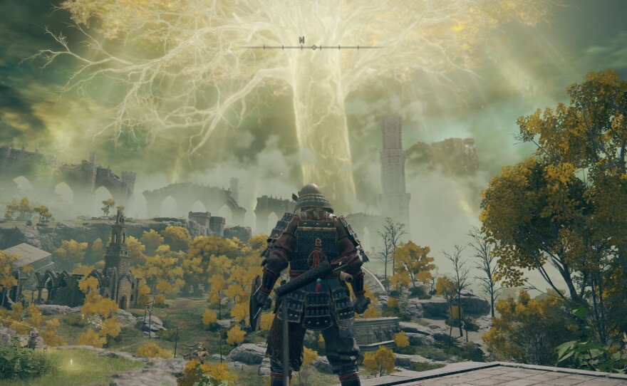 Surveying the Lands Between.