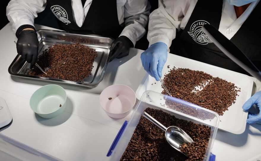 Once roasted, the shells are separated from the bean fragments, which are called nibs. Some of this is done by machine but the smallest pieces must be separated by hand. "It's really physical work," lab assistant Julia Butac says of the whole process.
