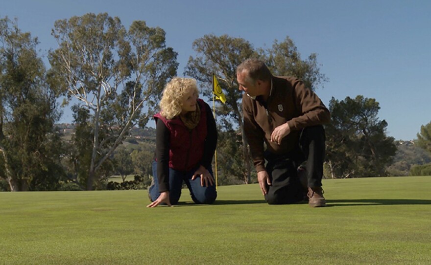 Host Nan Sterman and Superintendent Pat Gradoville examine the greens at Palos Verdes Golf Course in South Bay, Calif.