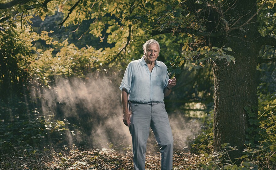 Sir David Attenborough, Holly Lodge, Richmond Park London.