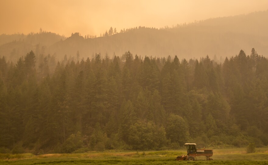 A farmer mows alfalfa amid the smoke from the Okanagon Complex Wildfires on Aug. 23 near Omak, Wash. The fires in the state have consumed more than 1 million acres.