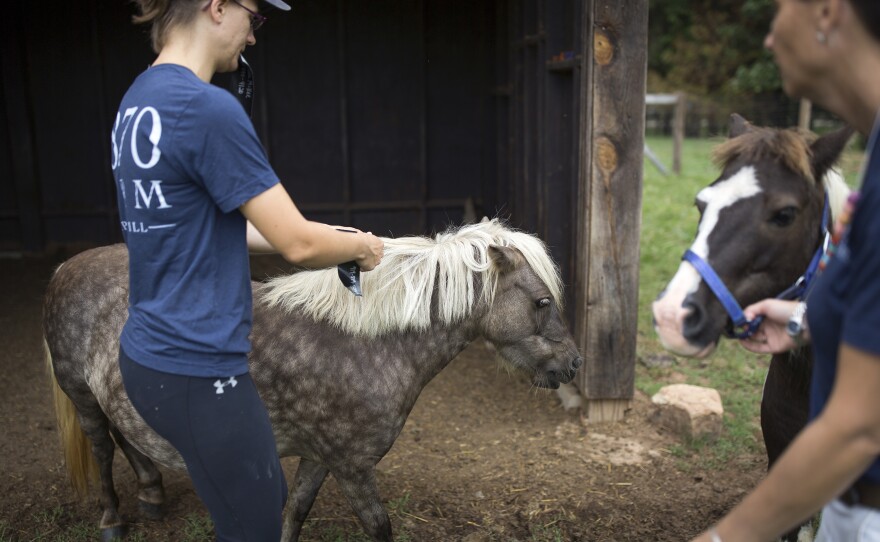 Breindel (left) puts an identification tag in a horse's mane as McKee leads up another horse in advance of the storm. The staff has microchipped all of the animals, given them identification tags, ordered a two-week supply of food and secured all of the shelters on the property.