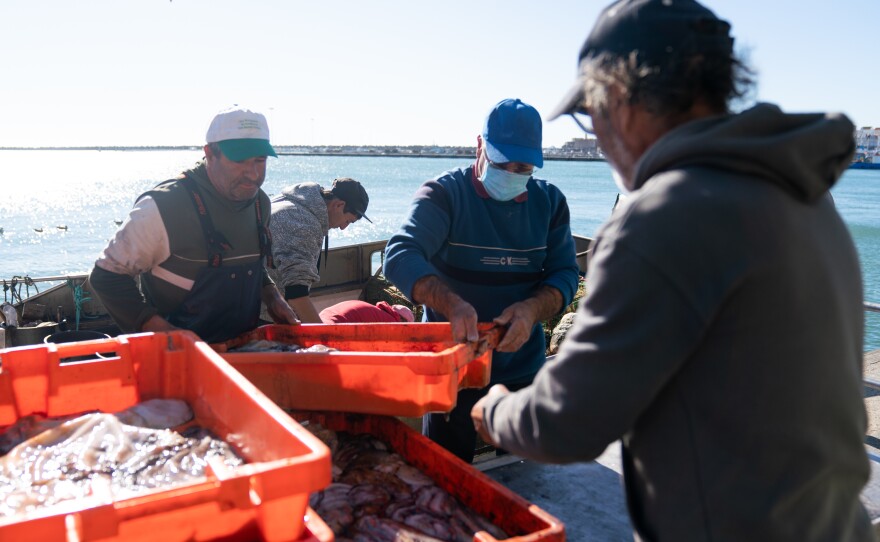 Fishermen bring in their catch in Peniche, Portugal.