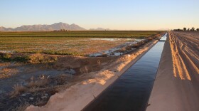 Water from the Colorado River flows through an irrigation canal at an alfalfa farm near Eloy, Arizona in this undated photo. 