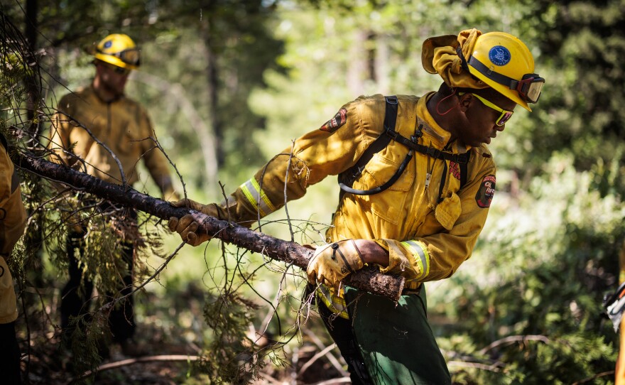 California National Guard Sgt. Jaleel Brown tosses a small tree aside as Task Force Rattlesnake work on fire prevention.