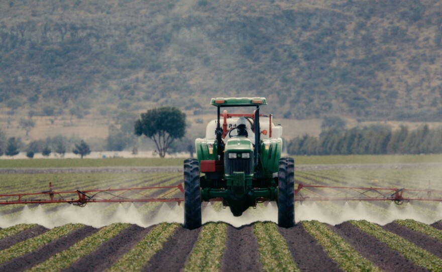 Lettuce grown in Guanajuato, Mexico. A green tractor moves through rows of crops in a valley.