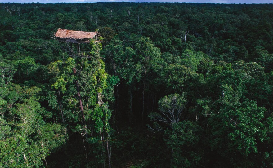 In Papua, Indonesia, many members of the Korowai people live in tree houses, which they say keep away mosquitoes and offered protection from historical enemies. This is the tallest treehouse Steinmetz observed — towering at 160 feet in height.
