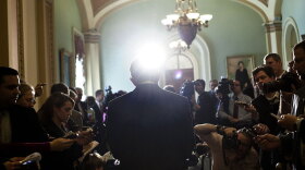 Senate Majority Leader Sen. Harry Reid (D-NV) speaks with reporters on Capitol Hill Tuesday.