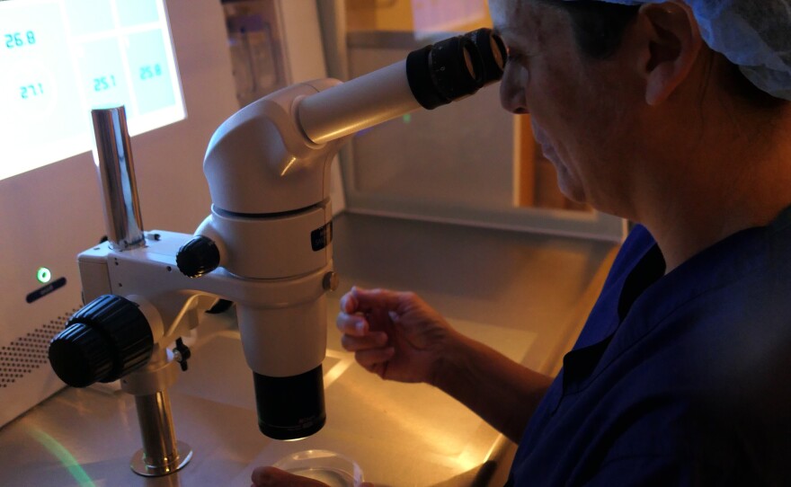 Embryologist Tricia Powers demonstrates how an IVF procedure would be done in the clinic lab.