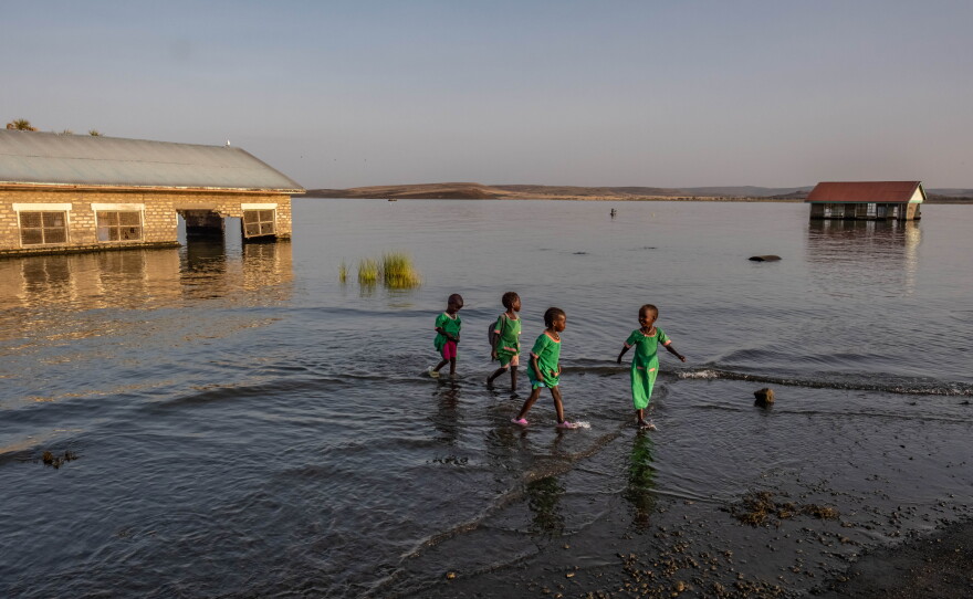 School children walk through the shallows past submerged and abandoned school buildings at the El Molo Bay primary school in Komote, Kenya. Teachers at the school say the buildings have become a breeding ground for crocodiles.