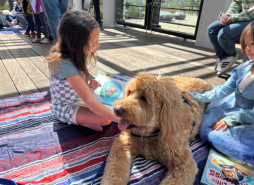 Reading to Dogs