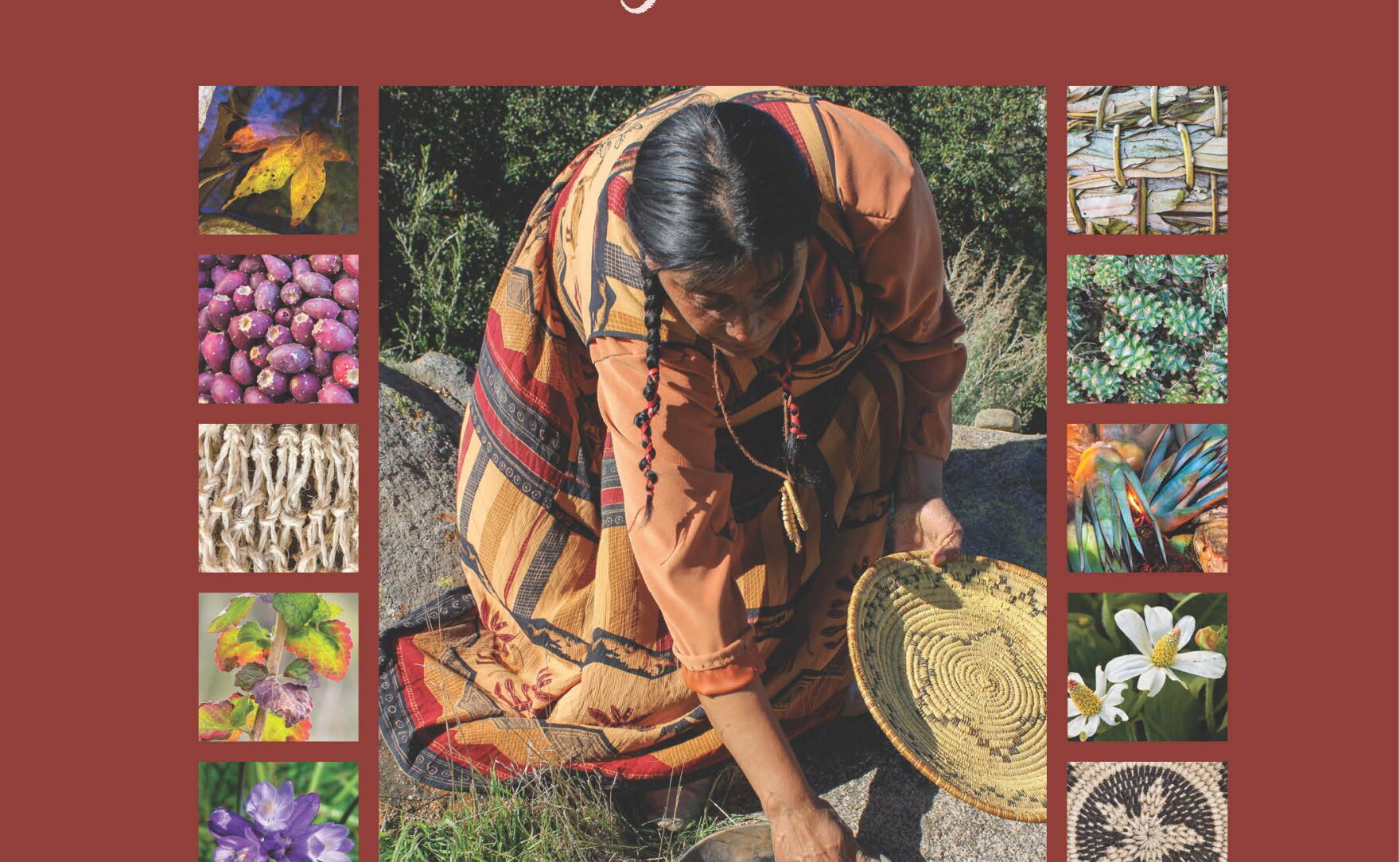 Book Details How Kumeyaay Use Indigenous Plants KPBS Public Media