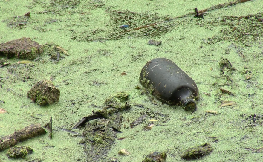 The San Diego River, November 1, 2017.