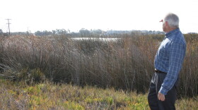 Buena Vista Audubon Society President Andy Mauro at the the Buena Vista Lagoon, Jan. 3, 2016.