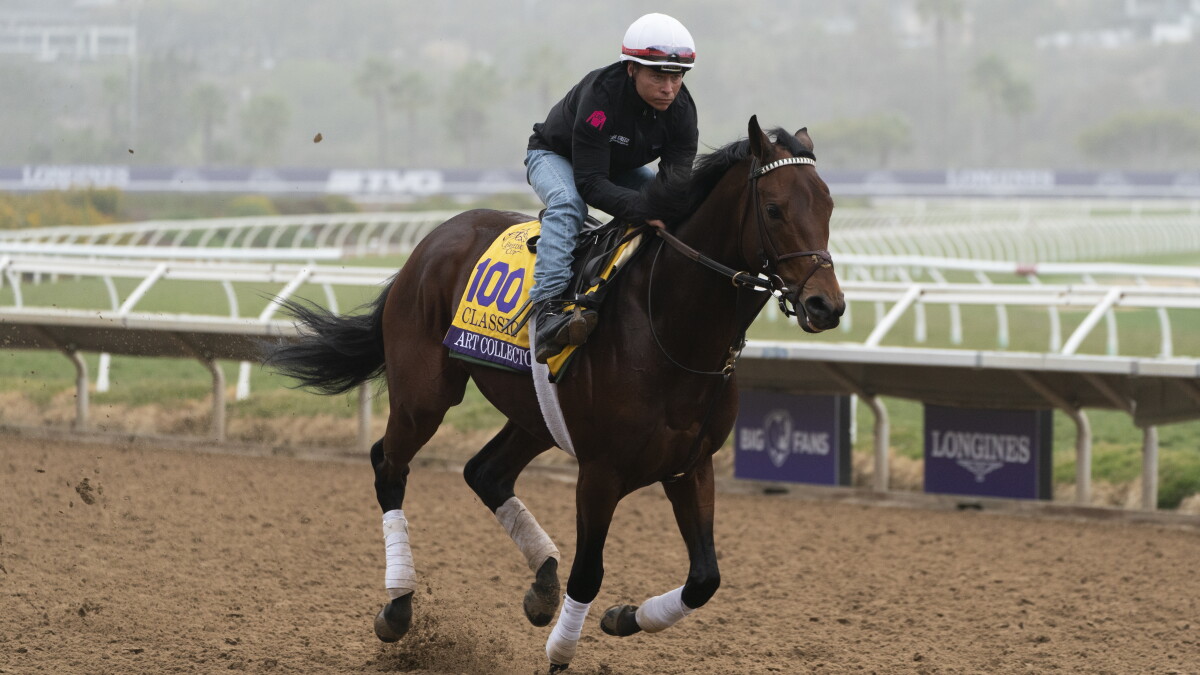 California Horse Racing Board to meet in Del Mar for first time since major realignment - Vimarsana News