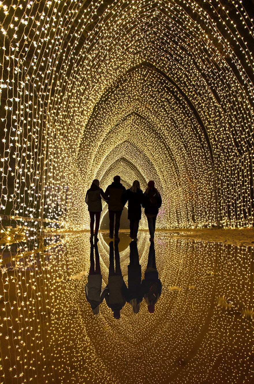 Four people, rendered in silhouette and in a reflection in the wet ground, walk through a golden light installation at Lightscape at the San Diego Botanic Garden. 