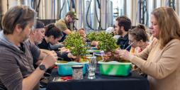 Bonsai Workshop at Mission Brewing - East Village