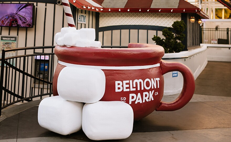 Winter Wonder at Belmont Park