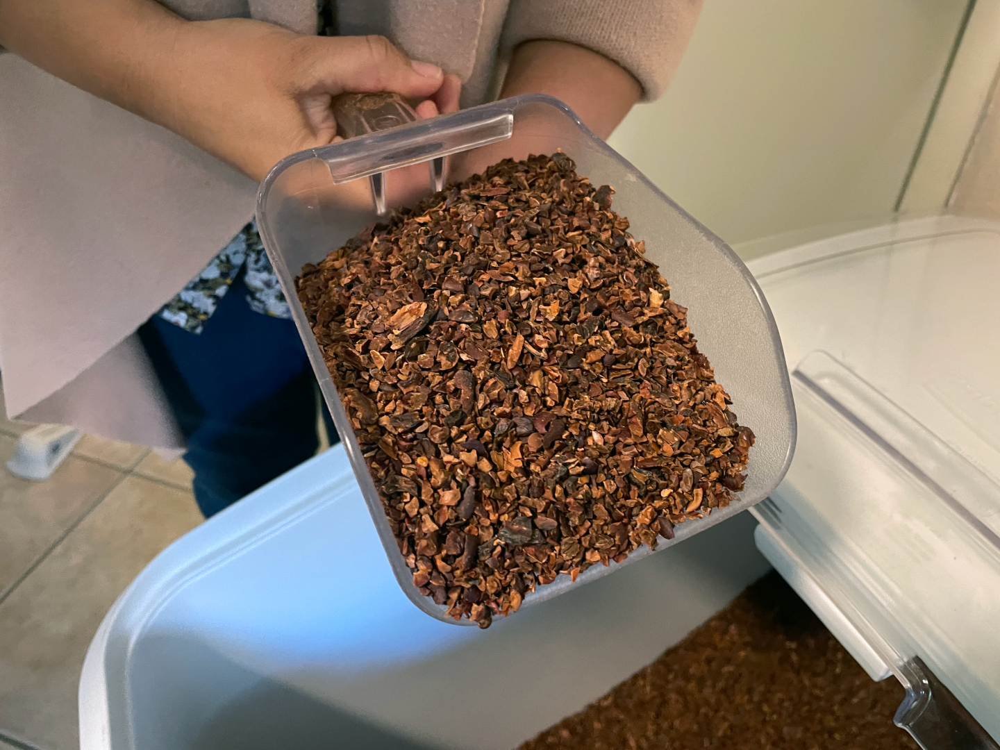 Processing cacao beans at Raíz Chocolate.