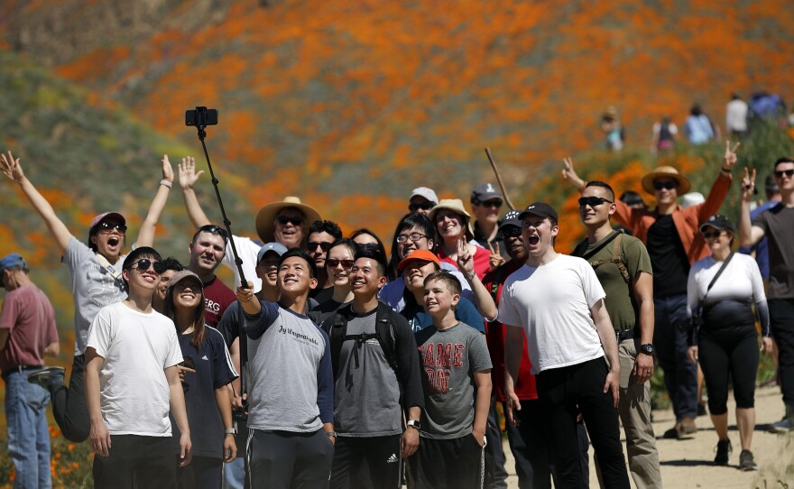 People pose for a picture among wildflowers in bloom Monday in Lake Elsinore, Calif.