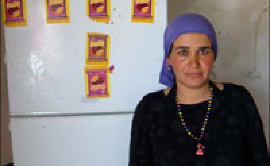 Wadha Juma, who lives in the unrecognized village of Um Batin, says the solar panels she received to power her refrigerator have made a big difference for her diabetic son, whose medicine would otherwise spoil.