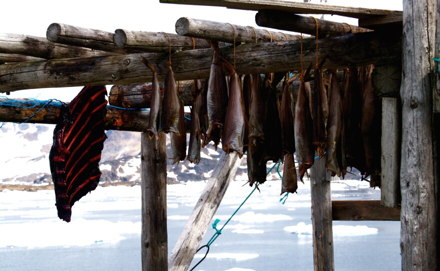 Seal meat and fish air dry in Greenland.