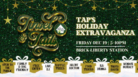 Tinsel and Tails: TAP’s Holiday Extravaganza