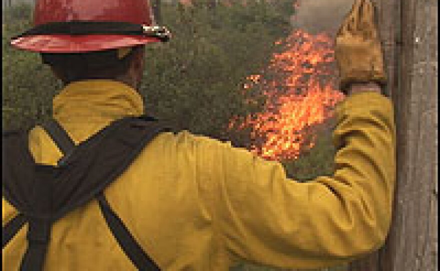 A firefighter watches a controlled burn in the Okefenokee National Wildlife Refuge in Georgia. The fire is designed to remove dry fuel in the path of a massive wildfire that consumed more than 200,000 acres in Georgia and Florida this spring.