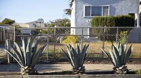 Tree plants in front of North Oakland house are shown in this undated photo. 