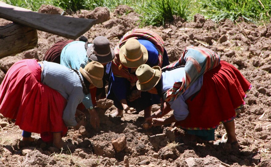 For very poor families, a little extra money from farming or raising livestock can make big differences, even by just giving families more hope.