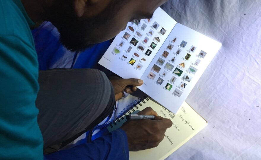 Stalin Murugesapandi takes photos and makes field sketches to record the different insect species he sees.