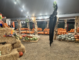 Mr. Jack O’ Lanterns Pumpkin Patch