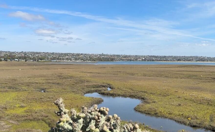 The Kendall Frost Marsh Reserve, part of the De Anza Cove proposal, is shown on March 8, 2023.