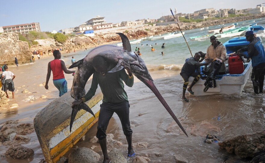 A Somali fisherman carries a fish to the market near the port in Mogadishu. One of the U.N. Sustainable Development Goals calls for the world to "conserve and sustainably use the oceans, seas and marine resources for sustainable development."