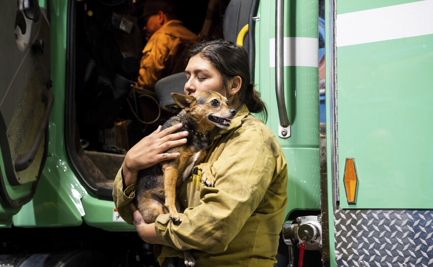 Firefighter Joanna Jimenez holds a dog she found wandering in an evacuation zone.