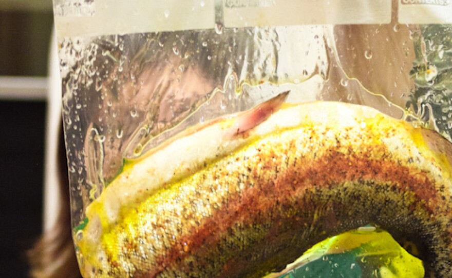 <p>In sous vide cooking, fish, meat or vegetables are placed in sealed plastic bags and cooked at relatively low temperatures for a long time.</p>