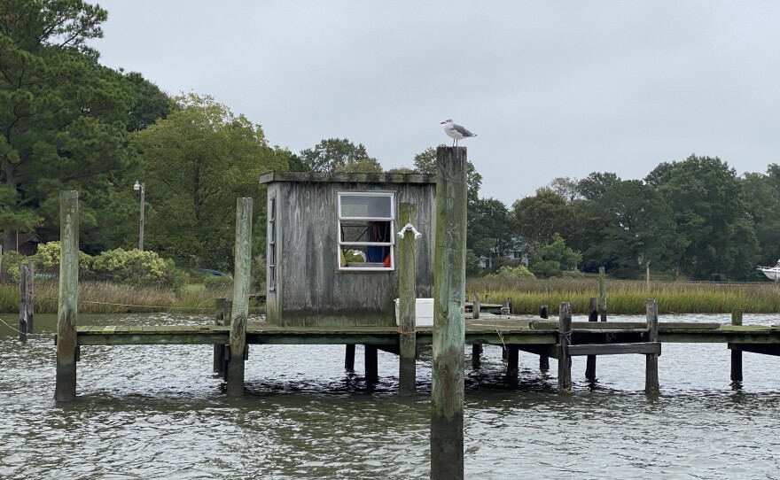 Seagulls perch along a residential dock on the Ware River, a tributary of the Chesapeake Bay in Gloucester, Virginia.