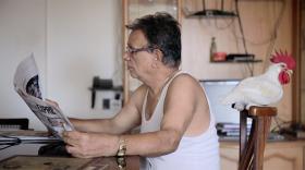 A week in the peculiar lives of a middle-class suburban Mumbai household, which is turned topsy-turvy when the family adopts a chicken as a pet.