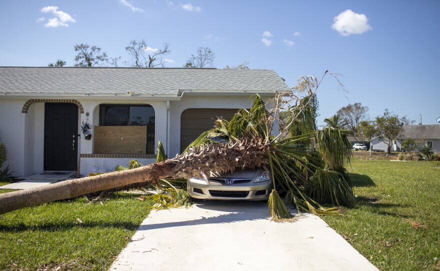 A tree toppled by Hurricane Ian sits on top of a car in North Port, Fla., on Wednesday.